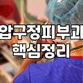 압구정/청담 보톡스, 울쎄라 시술 경험담과 알아두면 좋은 점들