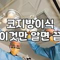 기능과 미용 사이의 고민, 코병원 선택 시 마주하는 현실적인 타협점들