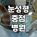 윙크성형외과 방문 전 확인해야 할 눈성형 비용과 진료 방식