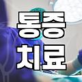 시술정보 확인 방법과 비용 결정 기준
