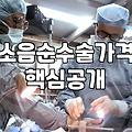 소음순 수술 비용과 결정 전 고려해야 할 현실적인 부분들