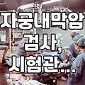 자궁내막 검사부터 튼살 시술까지 알아두면 좋은 의료 정보