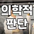 안전한 미용 의료를 위한 성형 시술정보 확인 시 주의사항
