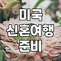미국신혼여행 비용과 준비 시 고려해야 할 현실적인 예산