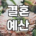 나에게 맞는 신혼여행지, 어떻게 고를까?