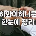 신혼여행사 패키지와 자유여행 사이, 현실적인 타협점 찾기