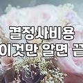 자연스러운 만남부터 결혼정보회사 비용까지 비교해 본 이성을 만나는 현실적인 방법들