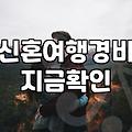 막막한 신혼여행지 선택과 예산 관리 현실적인 고민들