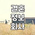 결혼 정보 회사와 소개팅, 그 사이 어디쯤의 현실적인 고민들