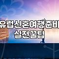 신혼여행지 선택과 현실적인 비용 고민들