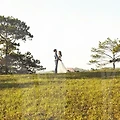 예쁜 종이청첩장으로 기억에 남는 결혼식 만들기!