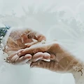 결혼과 다이어트 관리: 행복한 날을 위한 완벽한 준비!