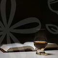 서울에서 특별한 파티를 즐기고 싶다면? 파티룸 예약 필수 정보와 팁!
