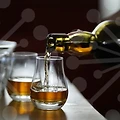 술집 창업의 새로운 트렌드, 투다리 창업 비용은 얼마일까?