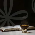 술집 창업 비용, 이자카야에서 생맥주전문점까지! 🍻✨