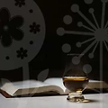 포차창업비용으로 꿈꾸는 주점 창업, 시작해볼까요?