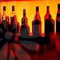 숫자로 읽는 소규모술집창업의 트렌드와 실전 운영 전략을 한눈에