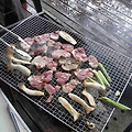 펜션 바베큐 준비물 숯과 성형탄 잘알고 구분하자 !