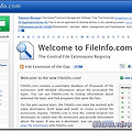 파일 확장자의 정보와 응용프로그램을 한 번에 - FileInfo.com