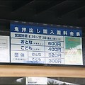 아사마산의 화산 분화로 만들어 진 화산지대, 오니오시다시원(鬼押出し園)