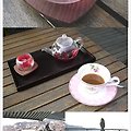 52.카페 모뜨 (cafe Motte)