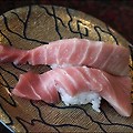 [일본 도야마] 인기있는 회전스시 맛집, 도야마시 스시타마(すし玉)