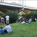 다리 위에서 일제히 날아가는 박쥐가 있는 대도시, 오스틴 콩그레스 브릿지(Austin Congress Bridge) [미국 렌트카 여행 #68]