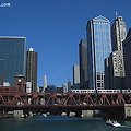 Chicago에서 유람선 타기 : Chicago River