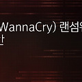 워너크라이(WannaCry) 랜섬웨어 알약제공 전용툴