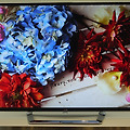눈이 호강한 LG SMART TV 신제품 발표회 스케치