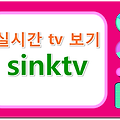 실시간 TV 보기, SINK TV