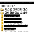 MSSQL_DB 자동증가확인