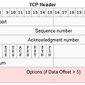 TCP Header Packet 분석