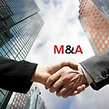 2014년 베트남 M&A 시장 현황