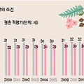 2015년도 최고의 신랑 신부 조건 은? 어느정도일까?