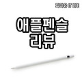 좀 늦은 애플펜슬 리뷰