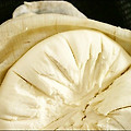 리코타 치즈 만들기