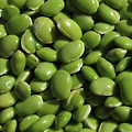 완두콩 효능 및 성분