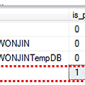 MsSQL Server_강제 매개변수화 테스트