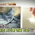 만물상 오리털 거위털 패딩 빠지는털 막는법