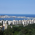 청대산을 오르며 찍은 사진