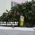 자신감 넘치는 남자 냄새! 보드맨 바디스프레이 사용 후기 (BODMAN Spray review)