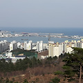 운동하기 딱 좋은 청대산을 오르며 담아 본 청초호와 봄을 알리는 버들강아지