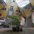 [네덜란드 #040] 큐브하우스, 그리고 친구 마틴을 만나다 - 로테르담(Rotterdam)