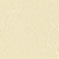 스타코ㅡ패턴ㅡ재질ㅡTexture