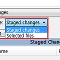 SourceTree Commit mode default 설정 변경