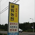 제주도 여행 #03 - 제주 귤체험농장에서 귤 따먹기-