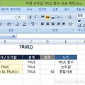 [엑셀 모바일] TRUE 함수로 논리값 참을 반환하기