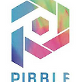 피블(PIBBLE) 코인 인스타그램 따라잡기