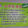 식당에서 본 소주의 효능